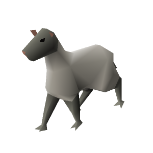 Sheep
