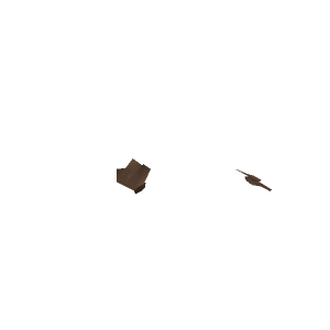 Moths
