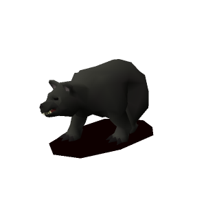 Black bear