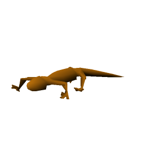 Orange salamander