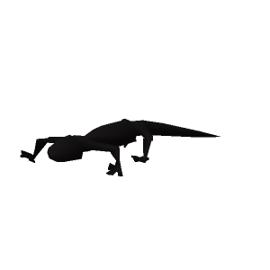 Black salamander