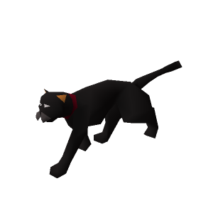 Black Cat
