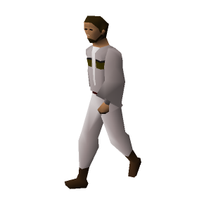 Observatory assistant
