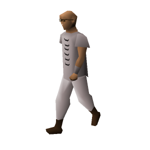 Observatory professor