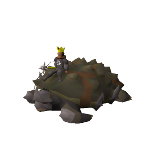 Healthorg and tortoise