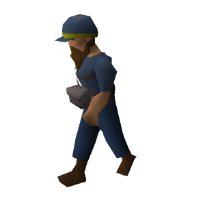 Ticket dwarf