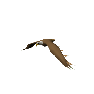 Eagle