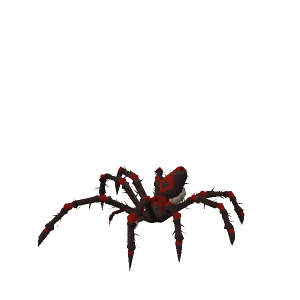 Venenatis spiderling