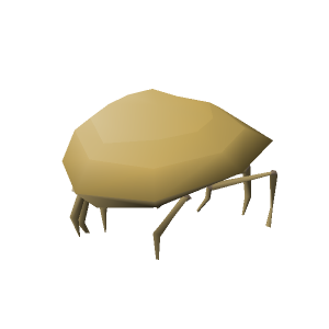 Sand Crab