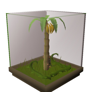 Monkey display