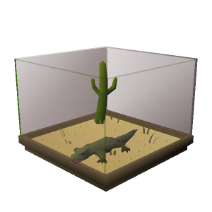 Lizard display
