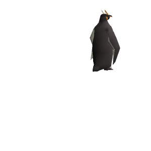 Penguin display