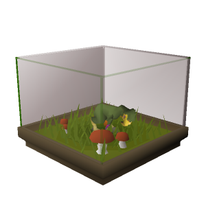 Terrorbird display