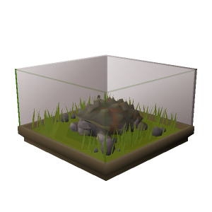 Battle tortoise display