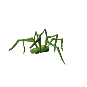 Jungle spider