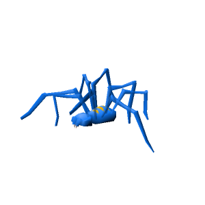 Ice spider