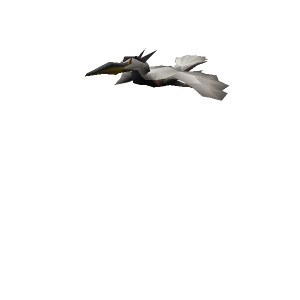 Heron
