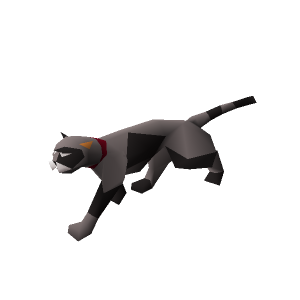 Overgrown cat
