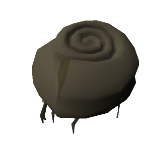 Ammonite Crab