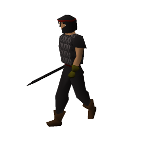 Pirate Guard