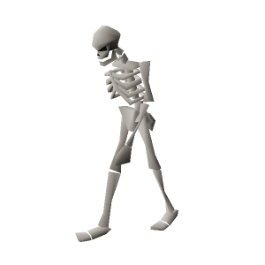 Skeleton