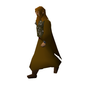 Chamber guardian