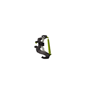 Acorn