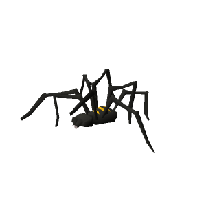 Blessed spider