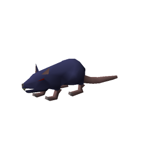 Blessed Giant rat