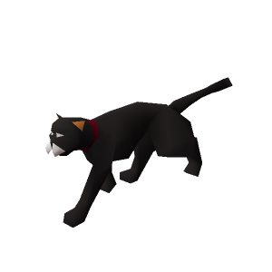 Witch's cat